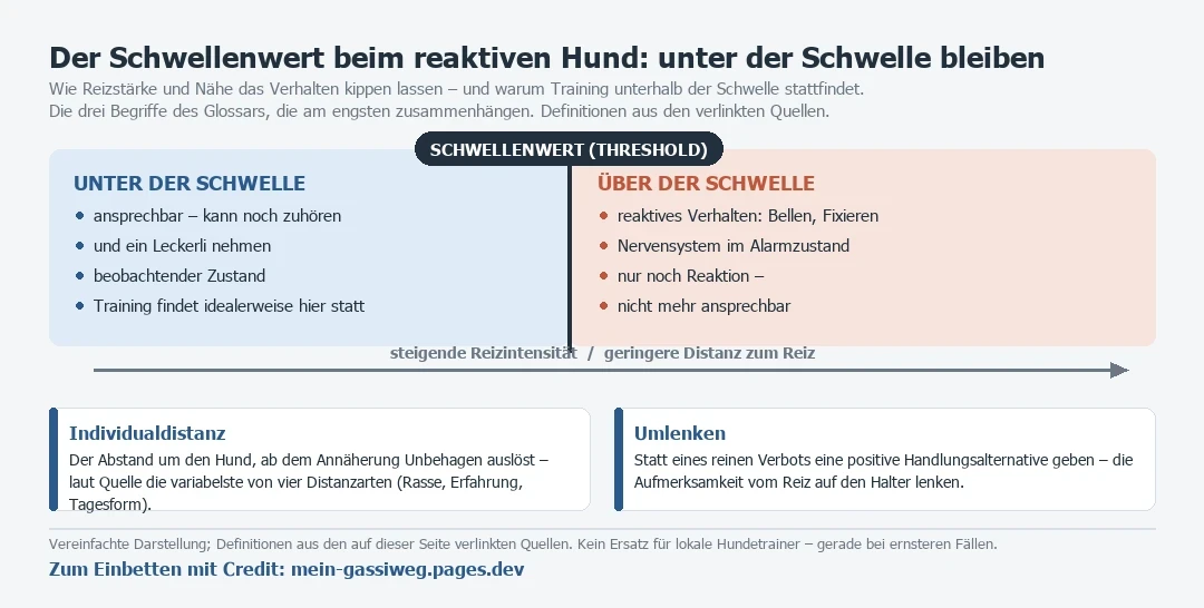 Schwellenwert-Diagramm beim reaktiven Hund: unter der Schwelle ansprechbar, über der Schwelle reaktiv, plus Individualdistanz und Umlenken